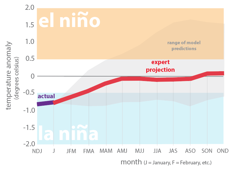 Figure 4. Forecasts of sea surface temperatures anomalies for the Nino 3.4 Region as of February 19, 2018. 