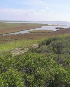 Aransas National Wildlife Refuge situated on San Antonio Bay.