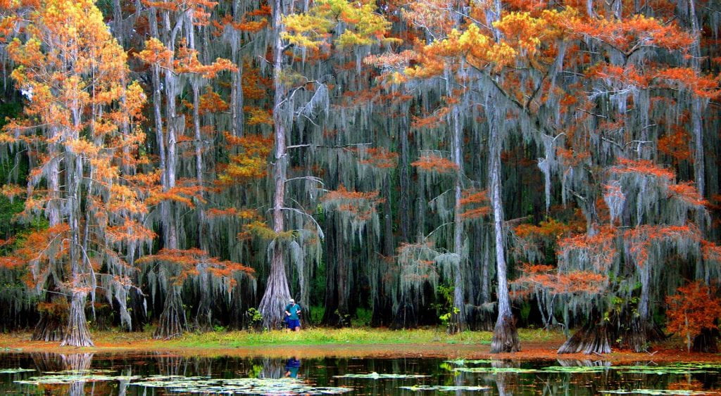 video+water: The Sustainable Rivers Program at Caddo Lake