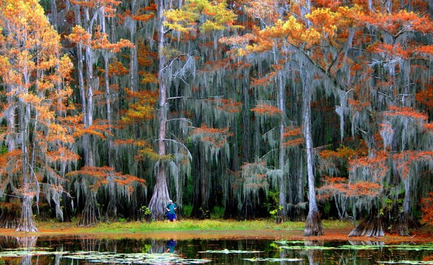 video+water: The Sustainable Rivers Program at Caddo Lake